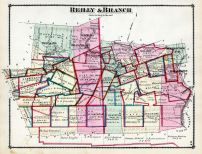 Reilly and Branch, Schuylkill County 1875